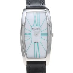 티파니 제메아 스틸 시계 (Z6401.10.10A29A48A)